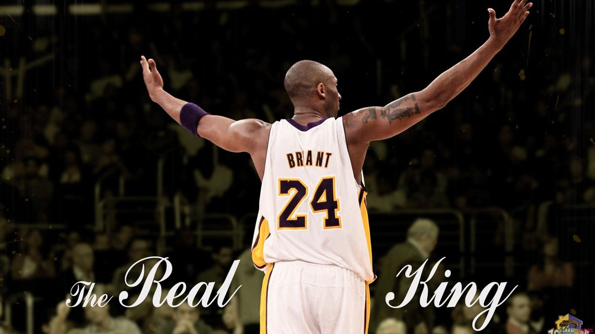 中国篮球职业裁判员技术判罚准确性提升,中国篮球的裁判